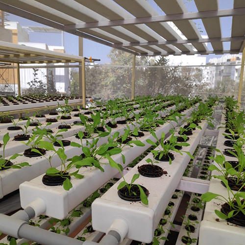 Rectangular Hydroponics System - Plastic Frame, Large Greenhouse Size | Film Cover Material, Ideal For Efficient Plant Growth