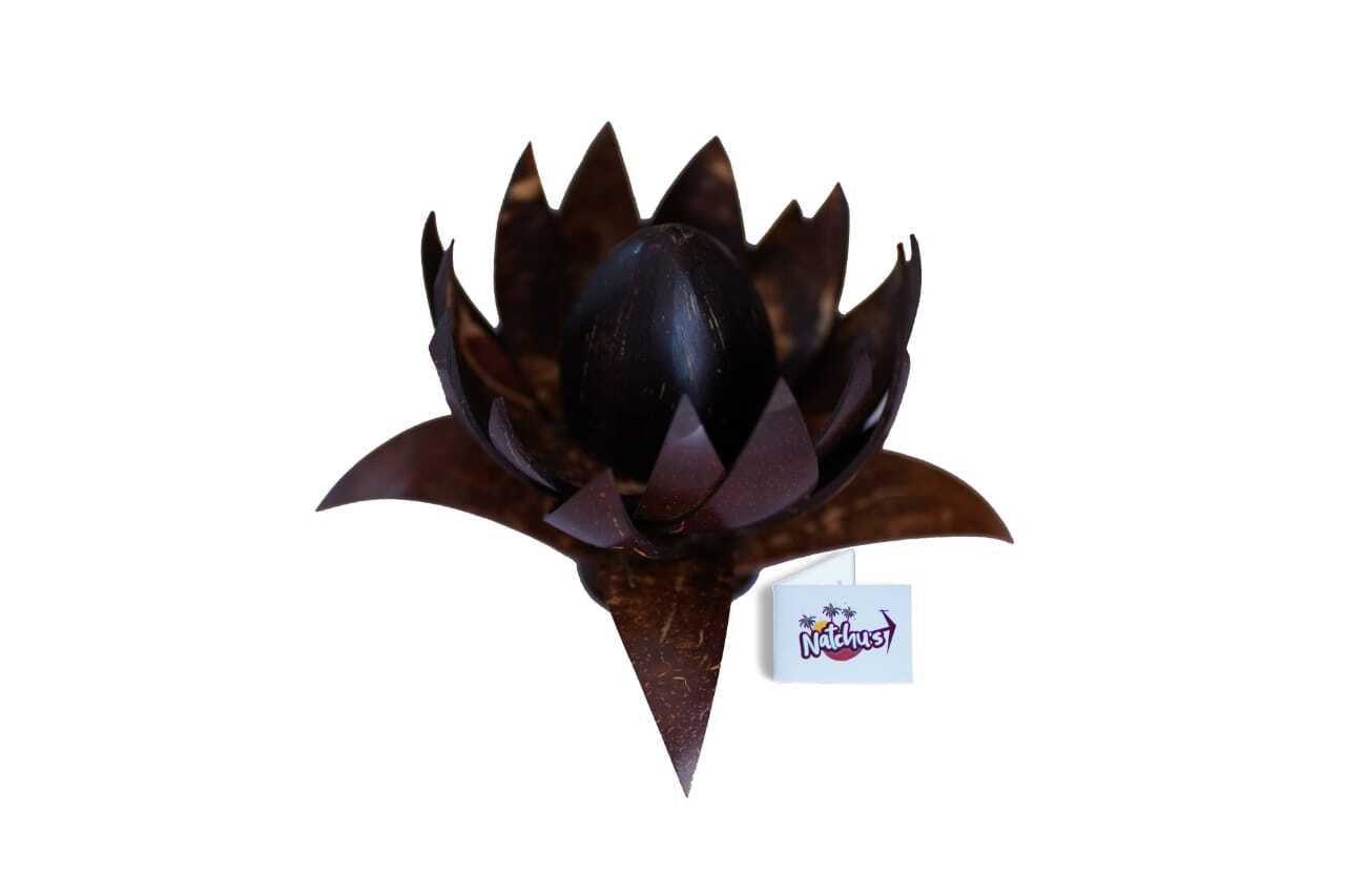 Coconut Shell Lotus