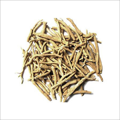 अश्वगंधा