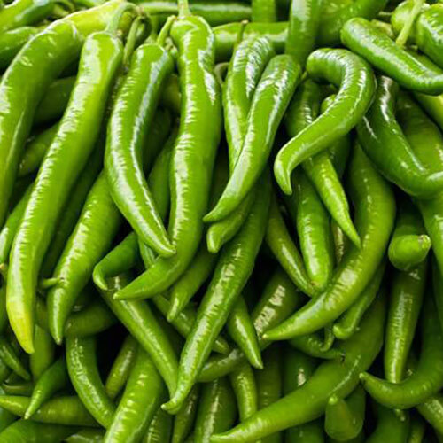 Green Chilli - Moisture (%): Nil
