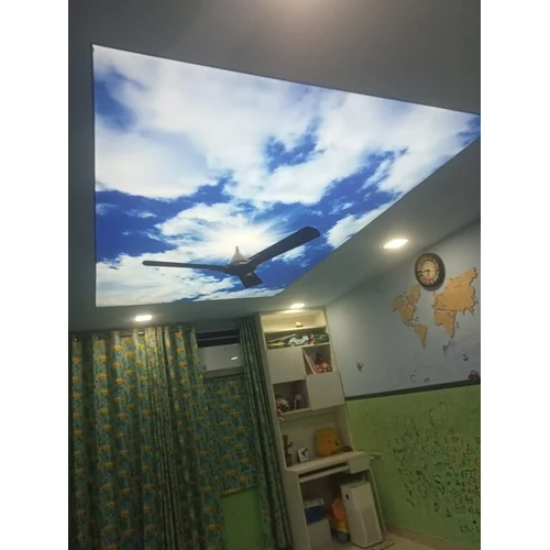 3d Stretch Ceiling Service
