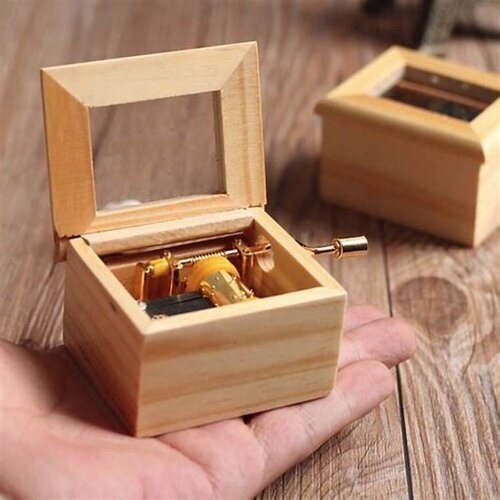 Wooden Novelty Box