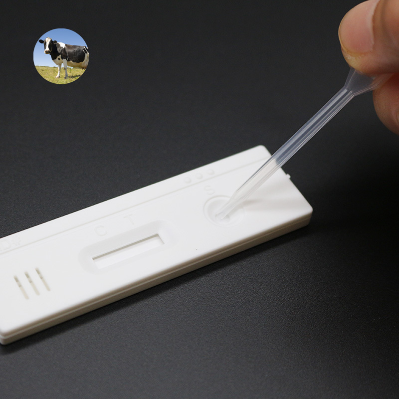 Cow Pregnancy Test Kit