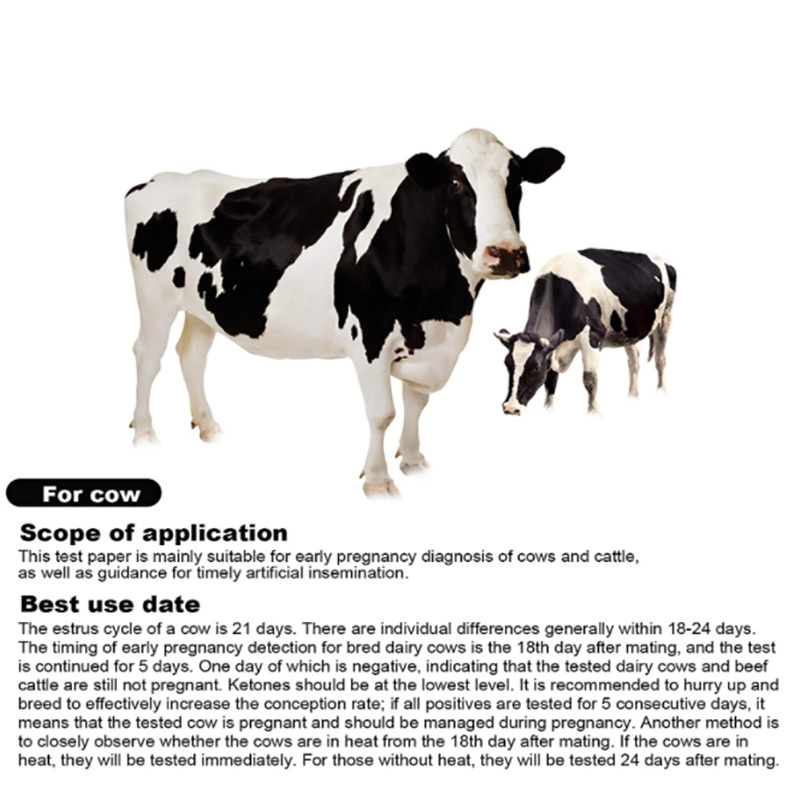 Cow Pregnancy Test Kit