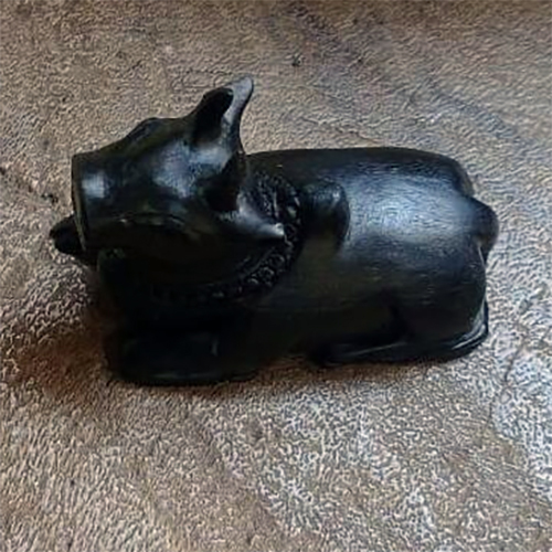 काली करुंगली नंधी पूजा लेख