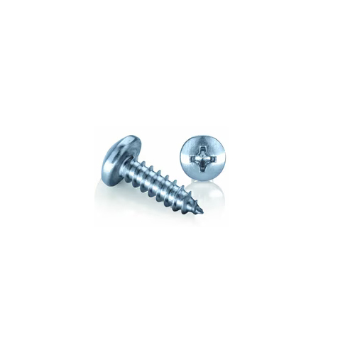 Silver Stainless Steel Self Tapping Screws