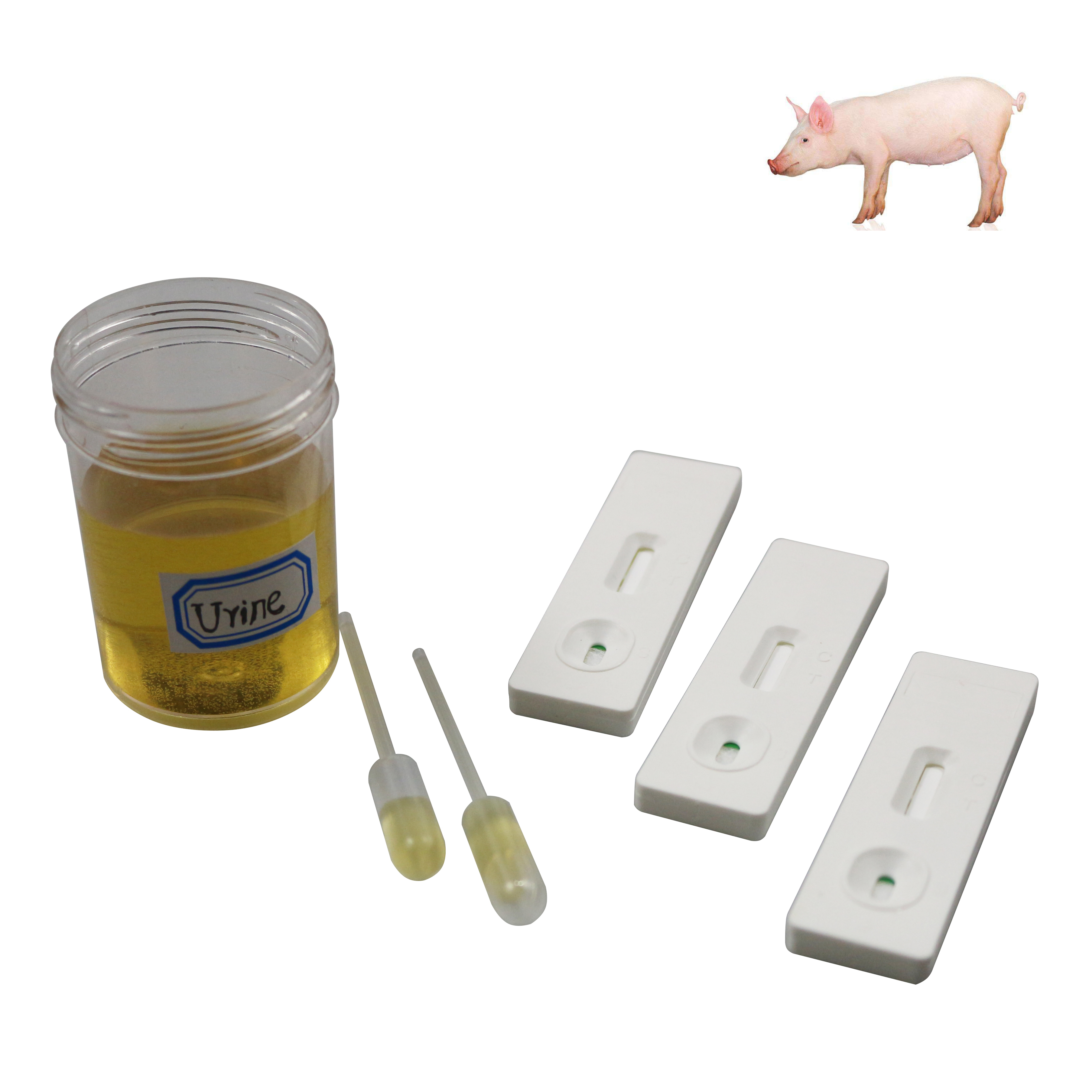 Pig Pregnancy Test Kit