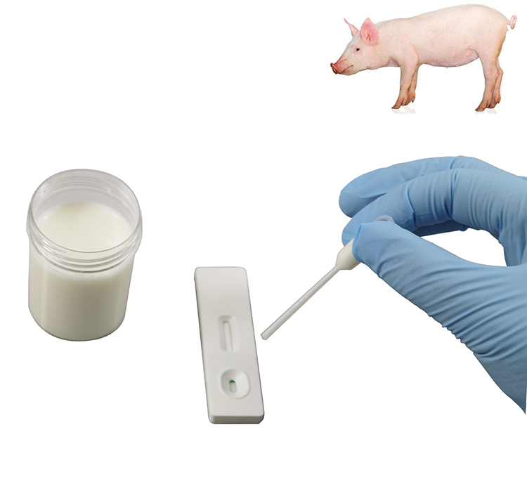 Pig Pregnancy Test Kit