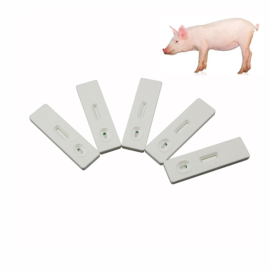 Pig Pregnancy Test Kit