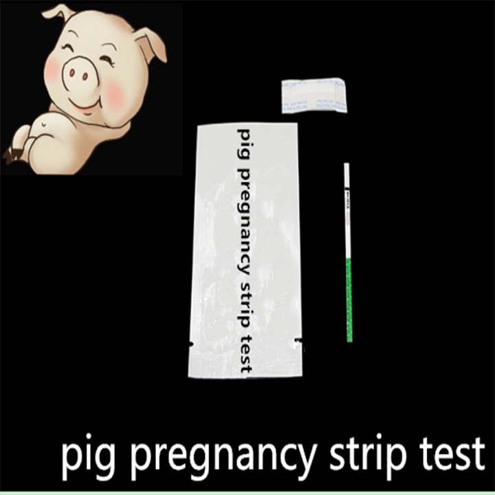 Pig Pregnancy Test Kit