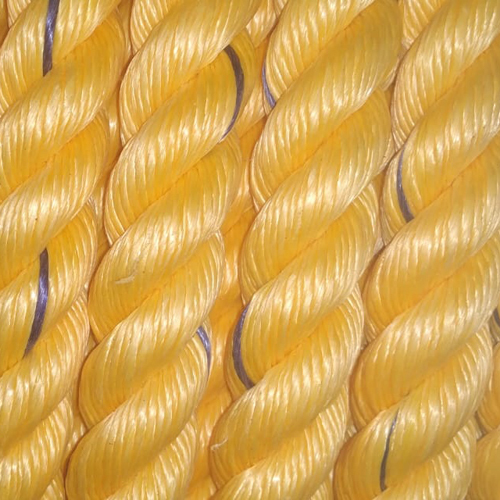 Different Available Golden Pp Danline Rope