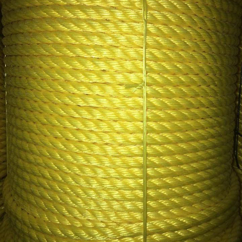 Polypropylene(Pp) Lemon Yellow Pp Danline Rope