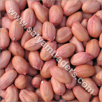 लाल त्वचा मूंगफली बोल्ड