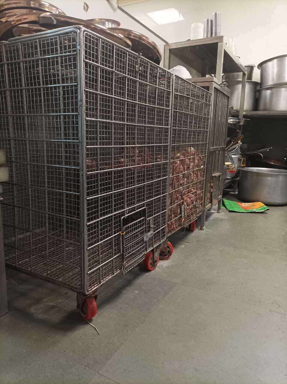 Manual Stainless Steel Onion Potato Bin