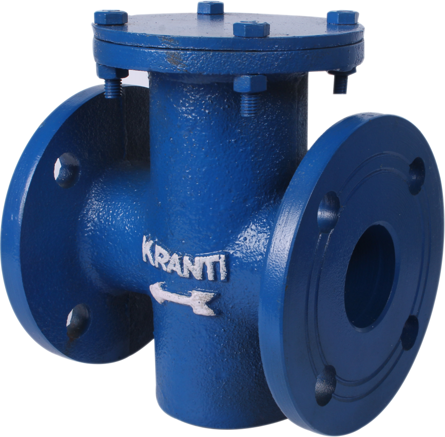 Blue Powder Coated T Type Strainer Dirt Box