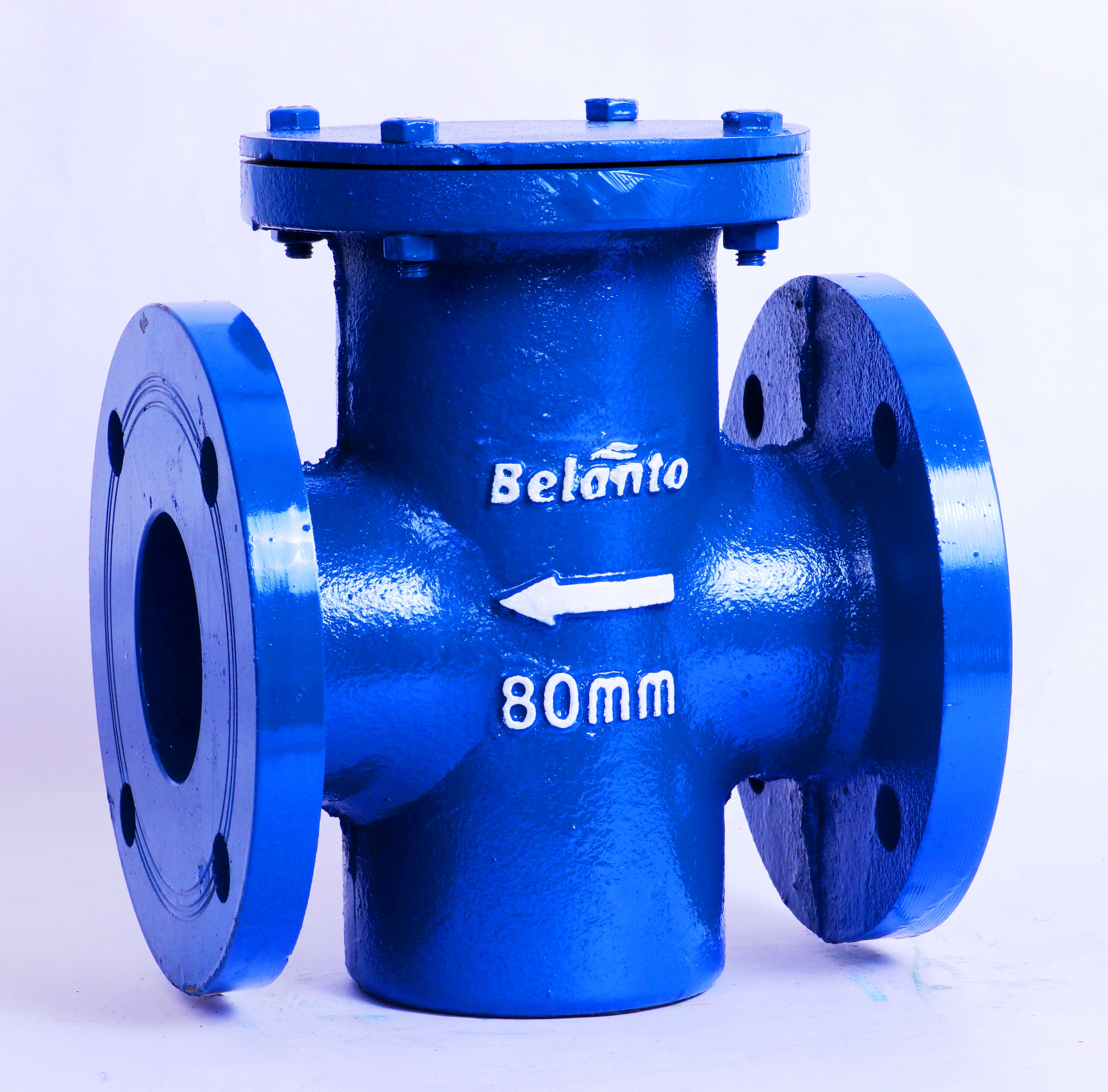 Blue Powder Coated T Type Strainer Dirt Box