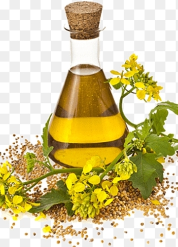 Mustard Oil