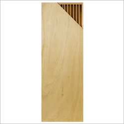 Flush Door