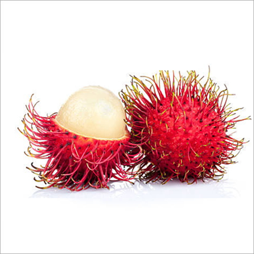 ग्रीन रामबूटन प्लांट