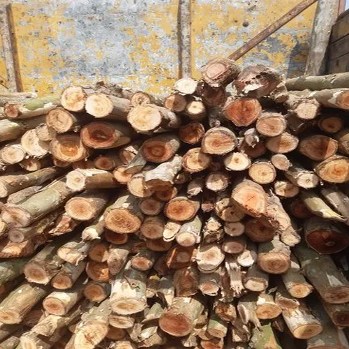 70 Mm Eucalyptus Wood - Customized Dimensions, E2 Glue, Commercial Grade | High-quality Hardwood For Outdoor And Indoor Applications