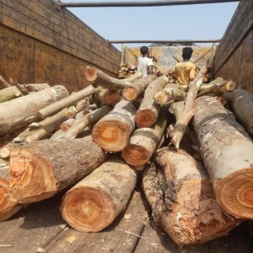 70 Mm Eucalyptus Wood - Customized Dimensions, E2 Glue, Commercial Grade | High-quality Hardwood For Outdoor And Indoor Applications