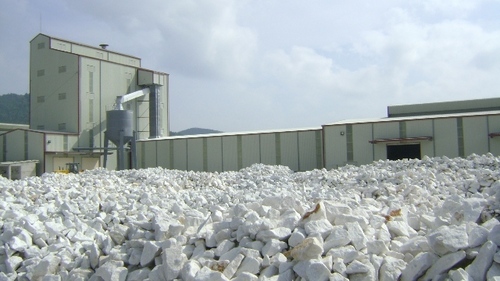 गांठ/चिप्स Caco3 (आयातित)