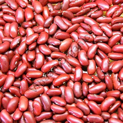 कॉमन रेड किडनी बीन्स