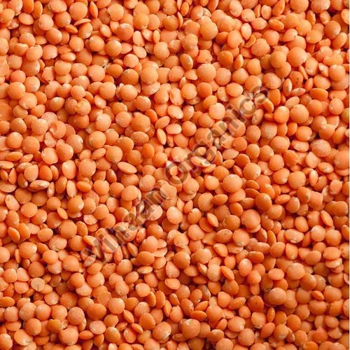 कॉमन स्प्लिट मसूर दाल