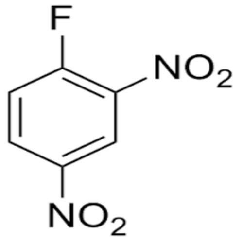 2 4 Di Nitro Fluoro Benzene