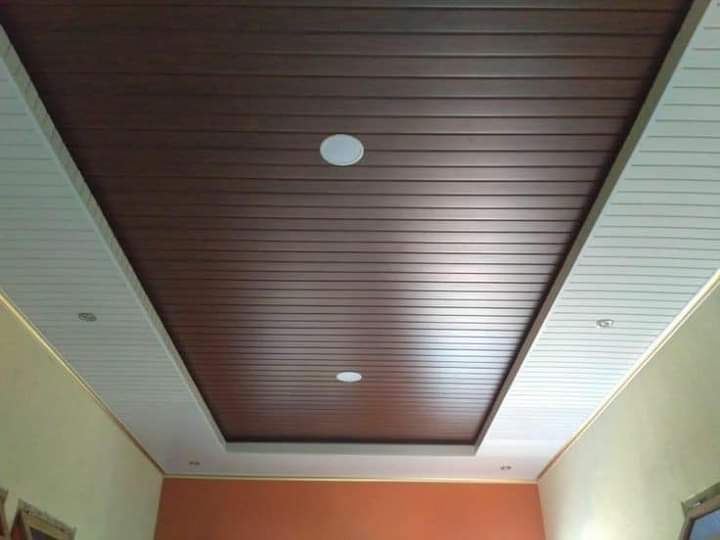 Pvp Panel Ceiling
