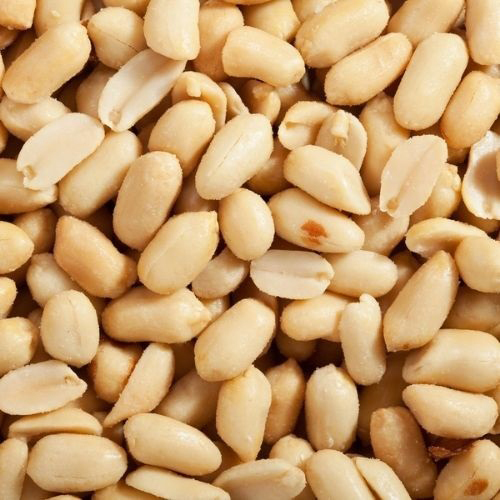 Common Bold Blanched Peanut