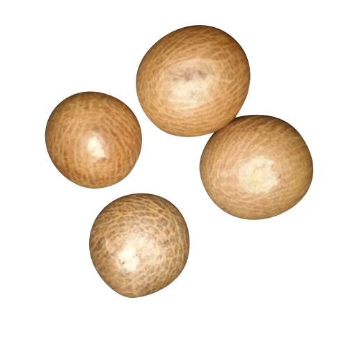 Common Natural Betel Nuts