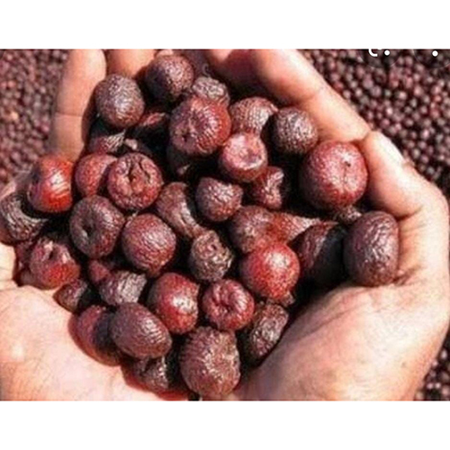 कॉमन रेड बेटेल नट्स