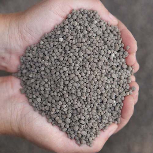 डायमोनियम फॉस्फेट डैप फर्टिलाइजर्स पाउडर