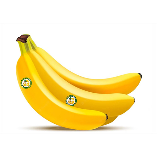 Fresh Banana - Non-glutinous Sweet Taste | Unpeeled Variety Of Common And Organic Options