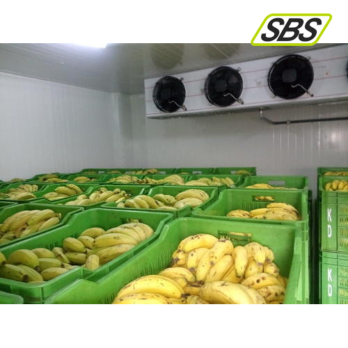 Automatic Banana Ripening Chambers