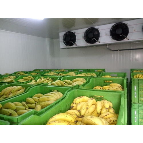Automatic Banana Ripening Chambers