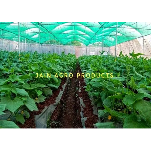 Green Crop Support Shade Net