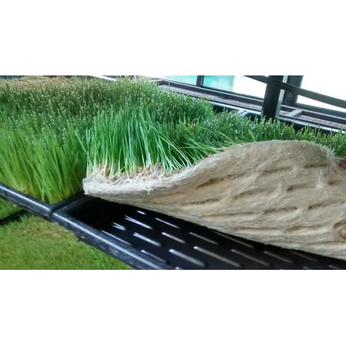 Hydroponic Fodder Trays Garden Rakes