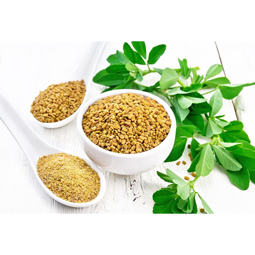 FenuGreek Seeds - Yellow Granule Seeds | Food Grade, Dried Product, Ideal for Storage in a Dry Place
