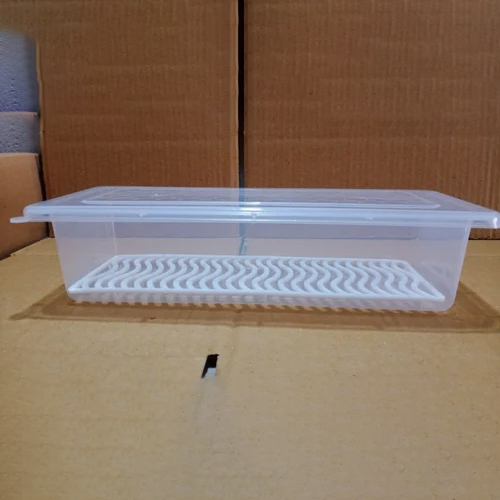 मछली के लिए ताज़ा रखने के लिए लिड फ्रिज स्टोरेज बॉक्स