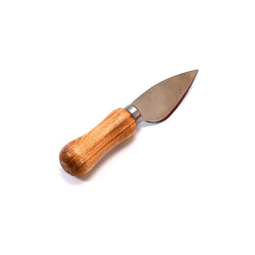 Cheese Knife - Stainless Steel, Compact Size, Mix Colour | Ergonomic Wooden Handle, Razor-sharp Blades For Versatile Cheese Cutting