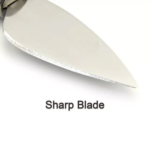 Cheese Knife - Stainless Steel, Compact Size, Mix Colour | Ergonomic Wooden Handle, Razor-sharp Blades For Versatile Cheese Cutting