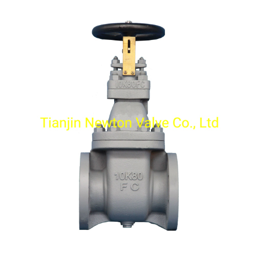 कास्ट आयरन डबल फ्लेंज गेट ग्लोब स्विंग चेक वाल्व पावर सोर्स: हाइड्रोलिक