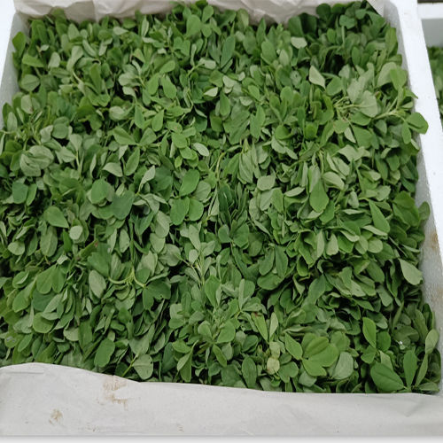 Green Fenugreek Leaves