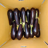 पर्पल फ्रेश बैंगन