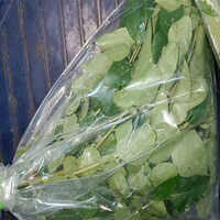 हरी करी पत्ता