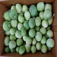 हरी ताजा टिंडा सब्जियाँ