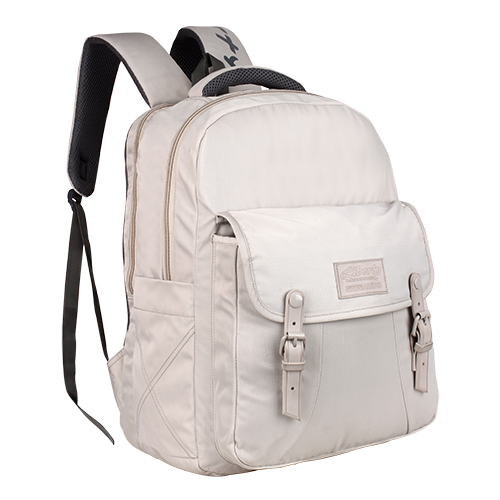 Gray Nylon Beige School Bag