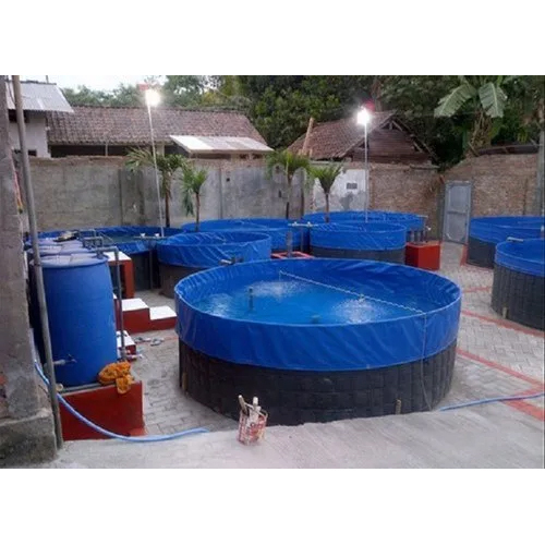 Blue And Black Commercial Recirculating Aquaculture System